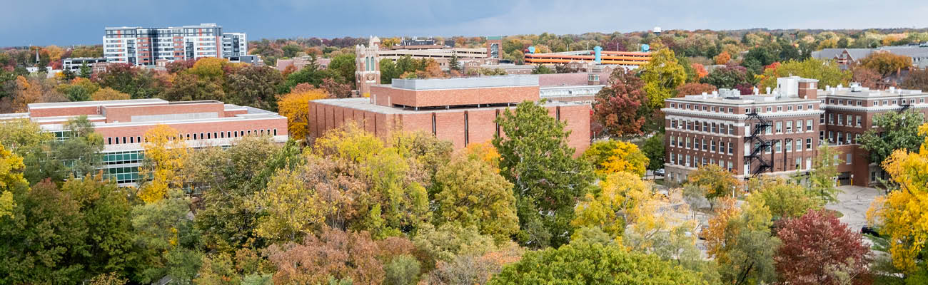 Campus in the fall
